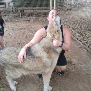 Meet your Posher, Bree